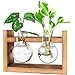 Plants Terrarium Glass Bulb Terrarium with Retro Solid Wooden Stand Propagation Sation for Hydroponics Plants Desktop Home Garden Wedding Décor (2 Bulbs)